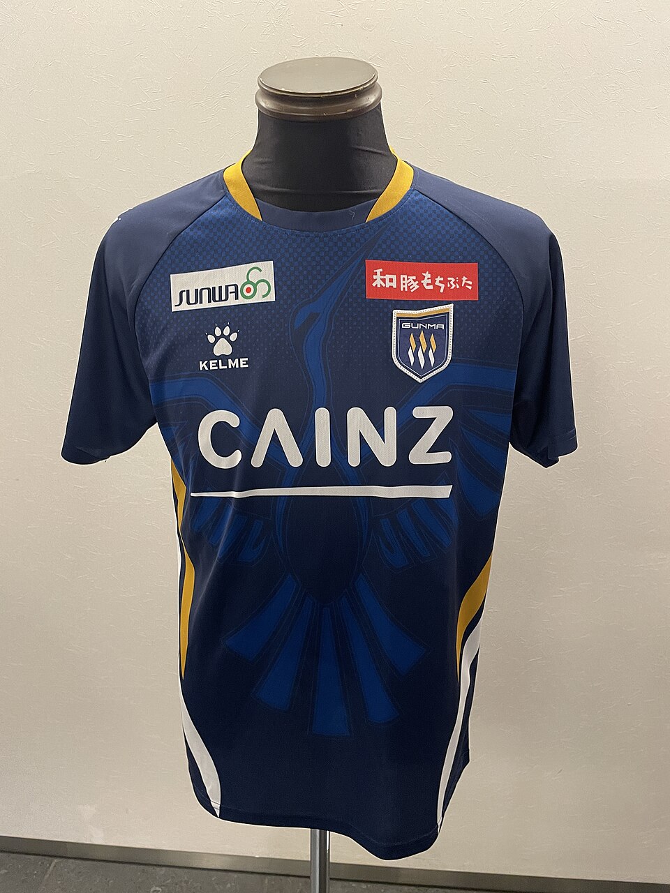 Front of the Thespa Gunma 2025 home football shirt
